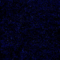 Aqua Turf Marine/Automotive Carpet 72" - Royal Blue Aqua Turf Marine/Automotive Carpet 72" - Royal Blue